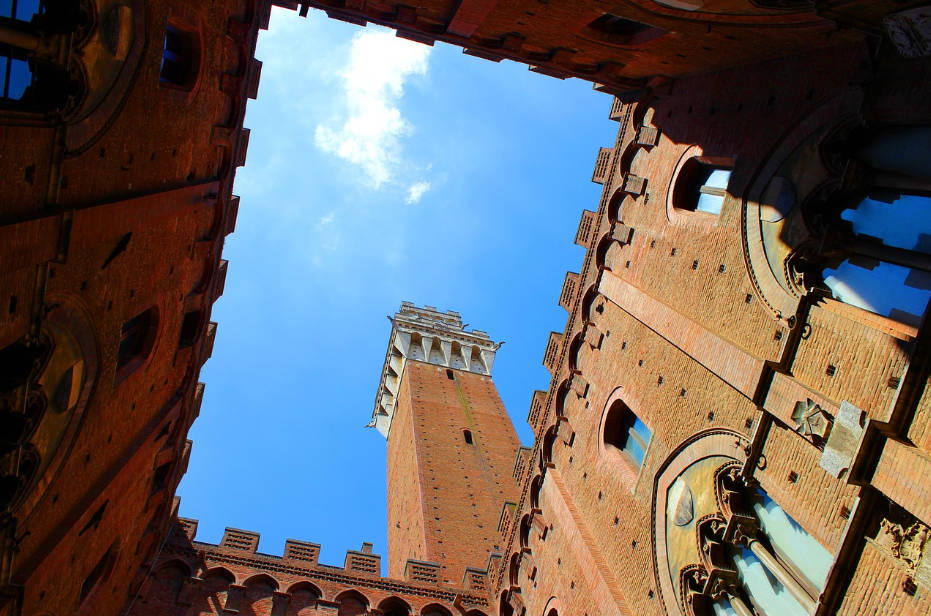 Cobo 神鱼 2023 下半年展望：从宏观大事到行业探索