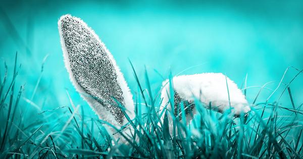 Friend.Tech 博弈论 —— WAGMI 还是庞氏骗局?