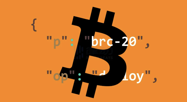 60 岁奶奶也能看懂的 BTC L1 新协议简史