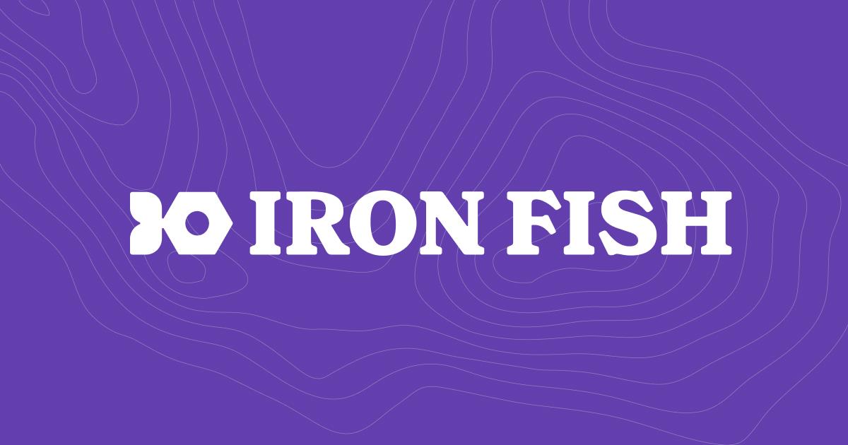 对话 Iron Fish 联创：从大型科技公司到区块链，为何隐私至关重要？