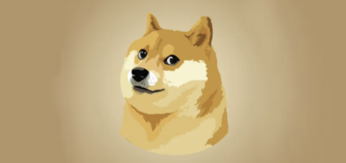 模因币暴涨，哈士奇和邦克脱颖而出，是谁放出了狗？