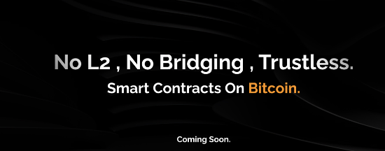 Multicoin Capital：我们为什么投资比特币原生应用平台 Arch？