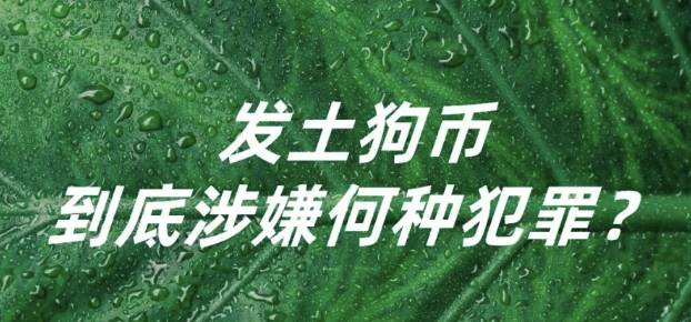 发土狗币，到底涉嫌何种犯罪？