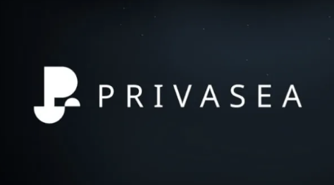 MT Capital 研报：Privasea，将全同态加密引入Mass Adoption