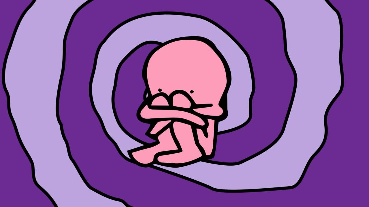 如何通过 TVL 变化,选择有潜力的 Meme 币?