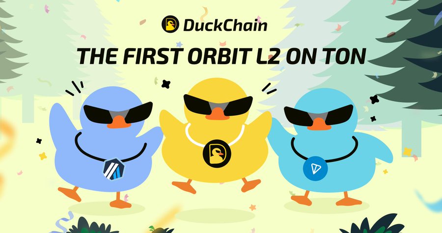 解读 DuckChain：由 Arbitrum 支持，打造首条基于 TON 构建的 L2