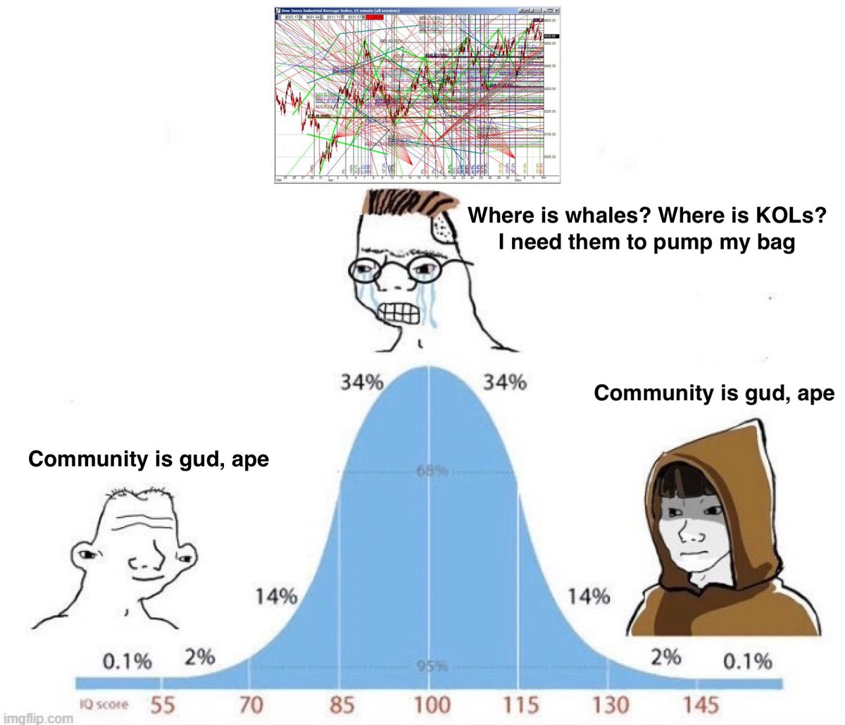 被长期忽视的 Memecoin 视角:社区