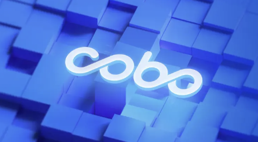 跨境支付新时代，Cobo 如何帮助支付企业快速转型？