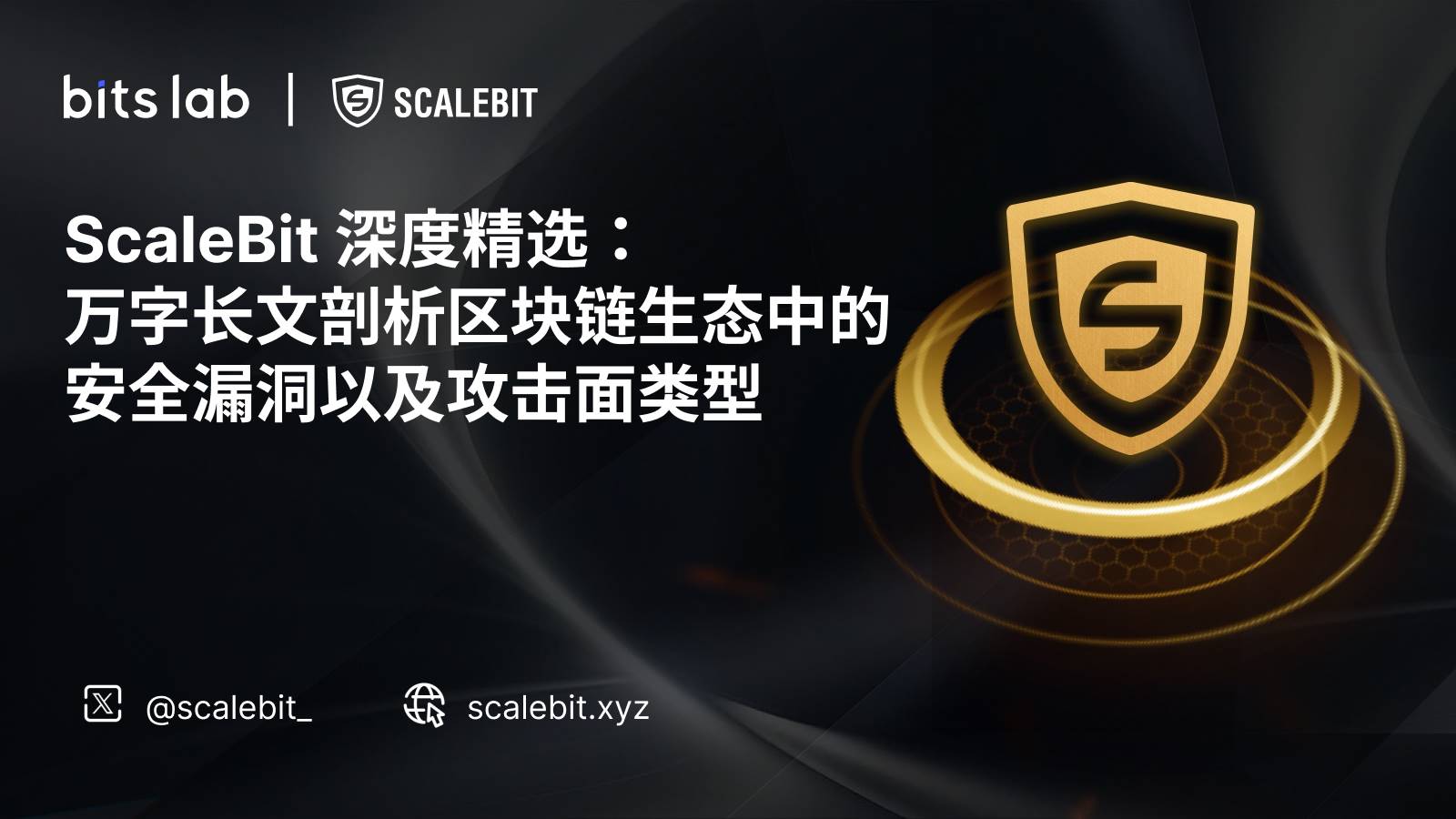 ScaleBit 深度精选：一文剖析区块链生态中的安全漏洞以及攻击面列表