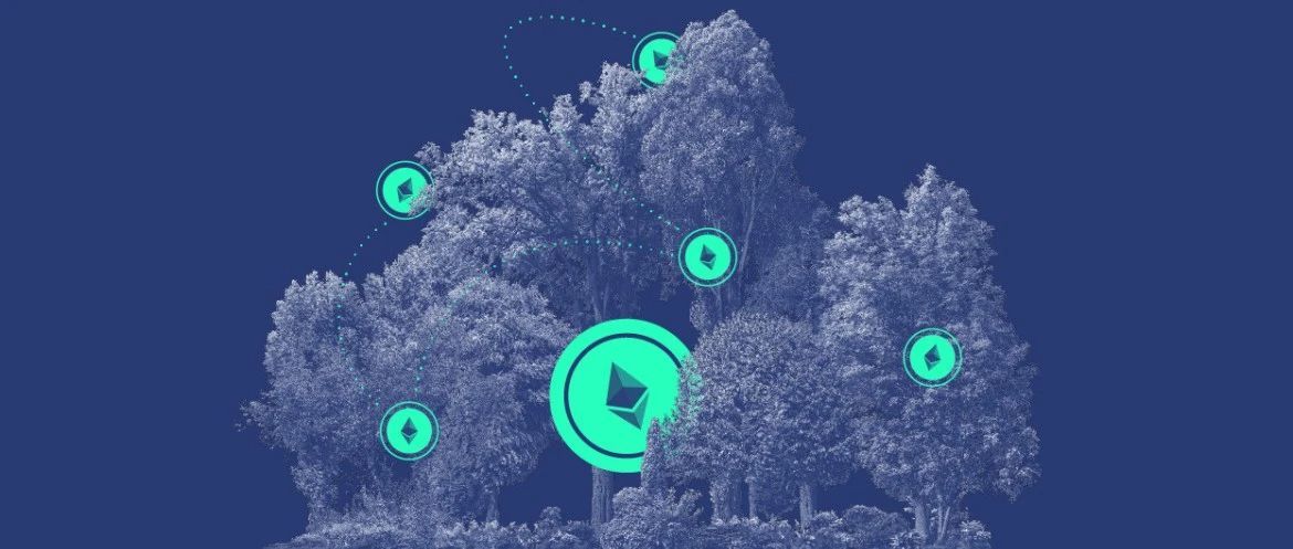 MEV 三明治攻击全解析：从排序到闪兑的致命链条