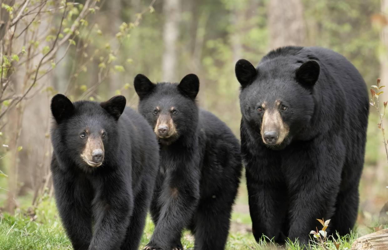 Coinbase 月度展望:比特币与 COIN50 双双失守关键支撑,市场距离反弹还有多远?