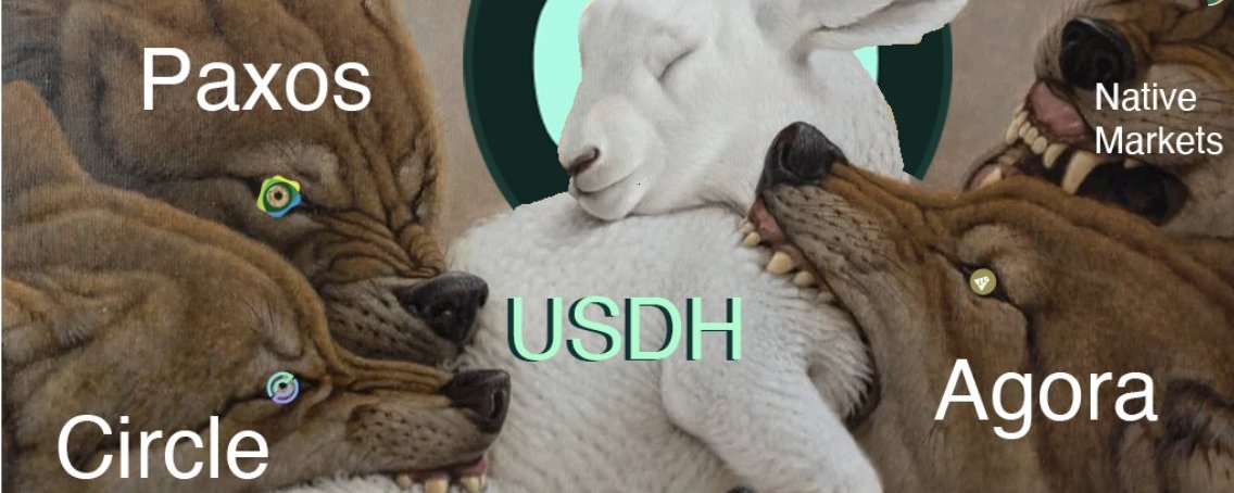 盘点 USDH 铸币权六大主要竞争者， 我押注了 Ethena