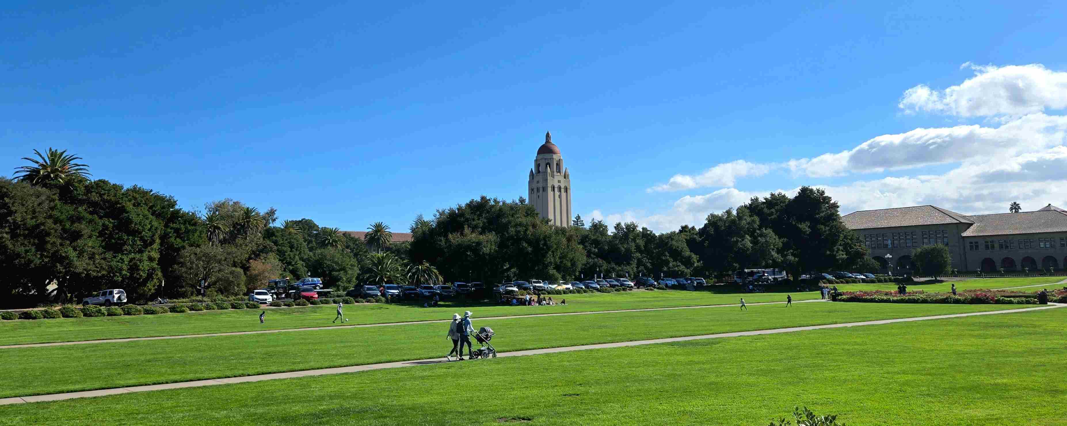 KOL 们都在晒收入，而我要晒做 VC 3 年投资的血泪教训