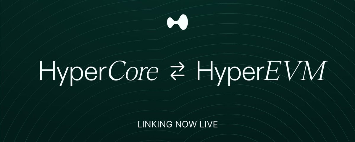 8 个月，500万：HyperEVM 头号套利机器人获利解析