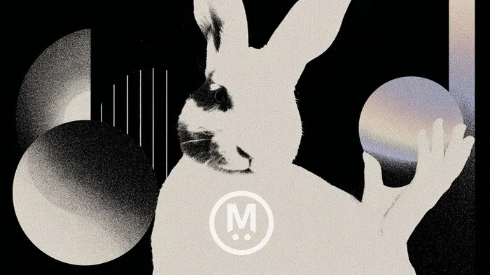 如何参与 MegaETH 公募，看看当前最火的 ICO 打新平台