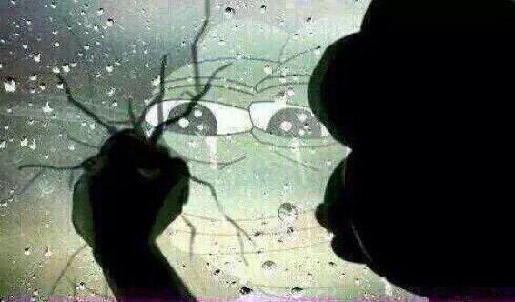 11 月的加密，还有哪些机会能让你“过个好年”？