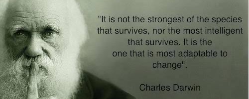 DeFi 的自然选择：适者生存