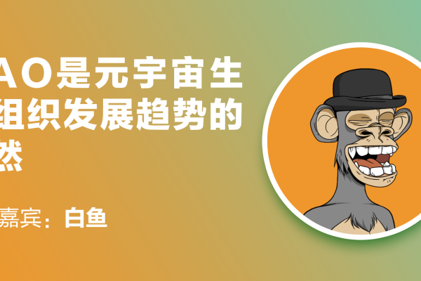 元连线 | 白鱼：DAO是元宇宙生产组织发展趋势的必然