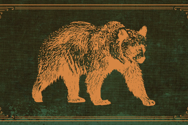 熊市生存指南:面对未知,保持谦卑