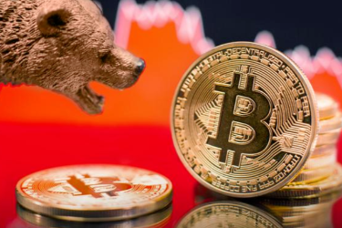 探寻头部基金和Alpha：哪些赛道值得布局？