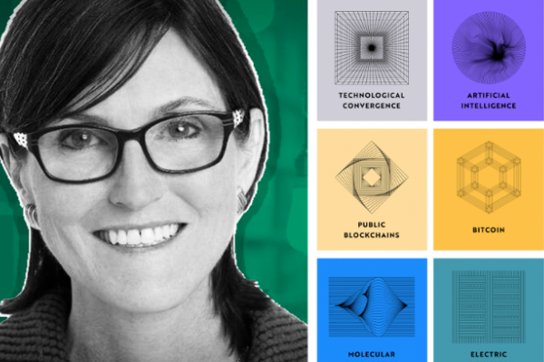 “木头姐”年度报告精华版：2030 年，比特币将破 100 万美元